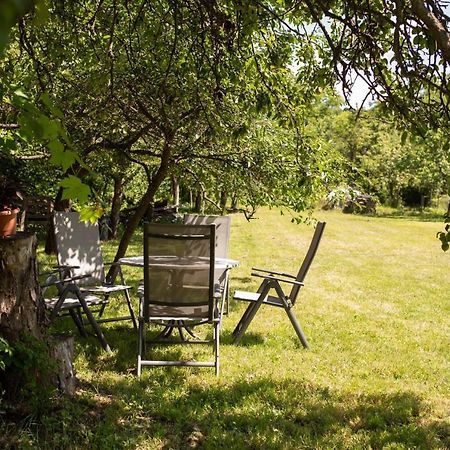 Ferienwohnung Barna Fahaz Tarnaszentmaria Exterior foto