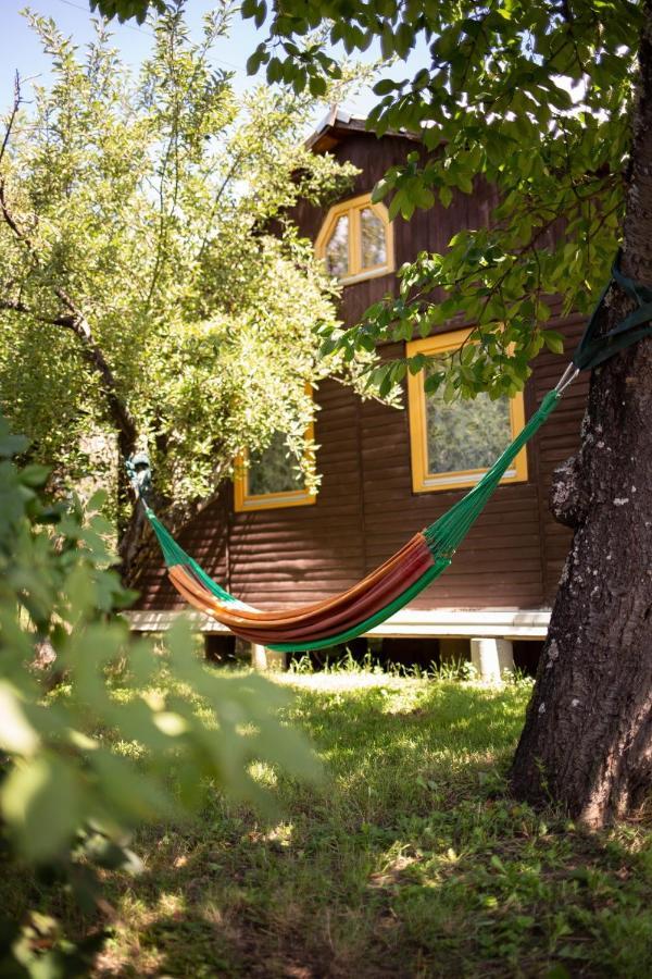 Ferienwohnung Barna Fahaz Tarnaszentmaria Exterior foto